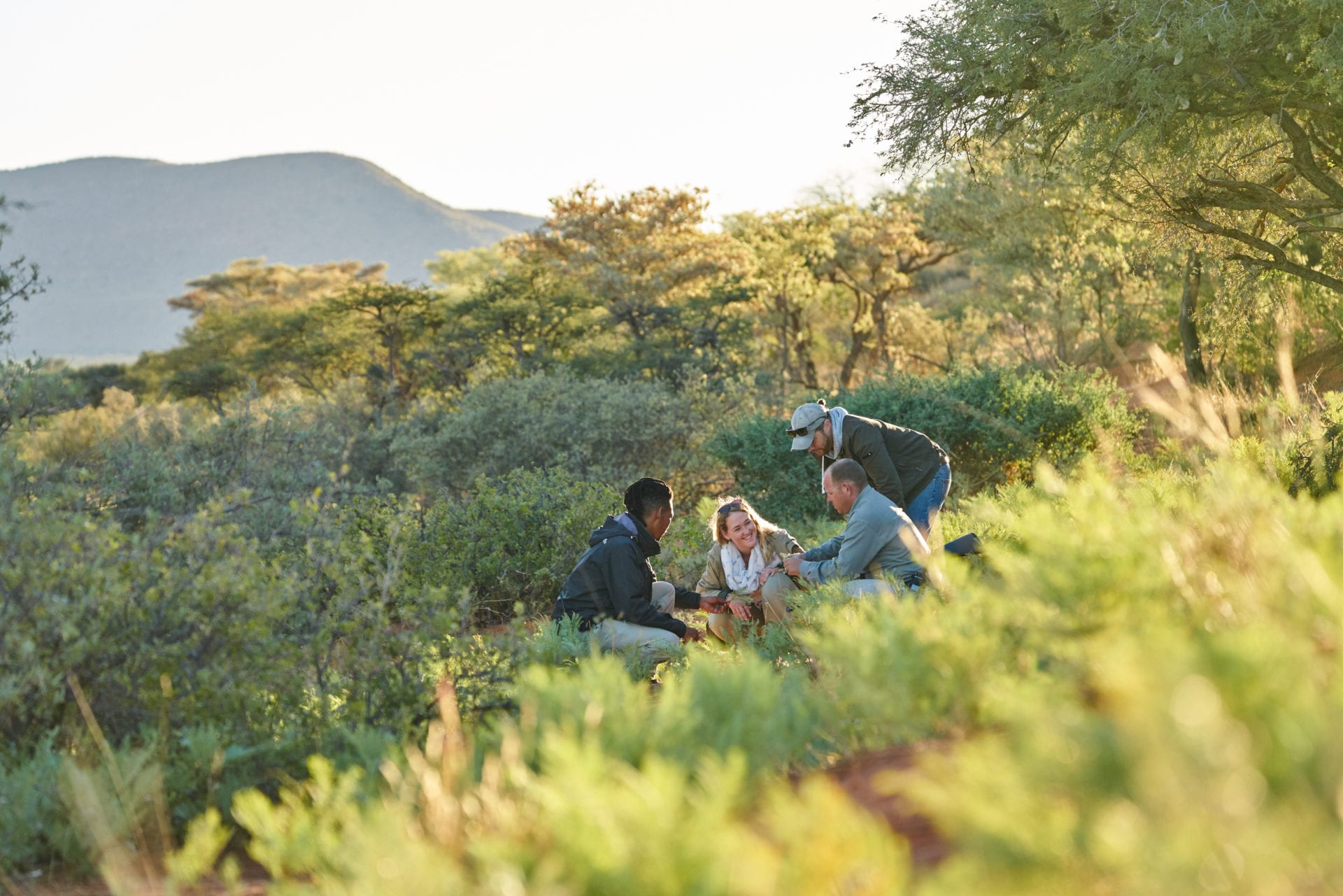 Ecological Research. Conservation management
