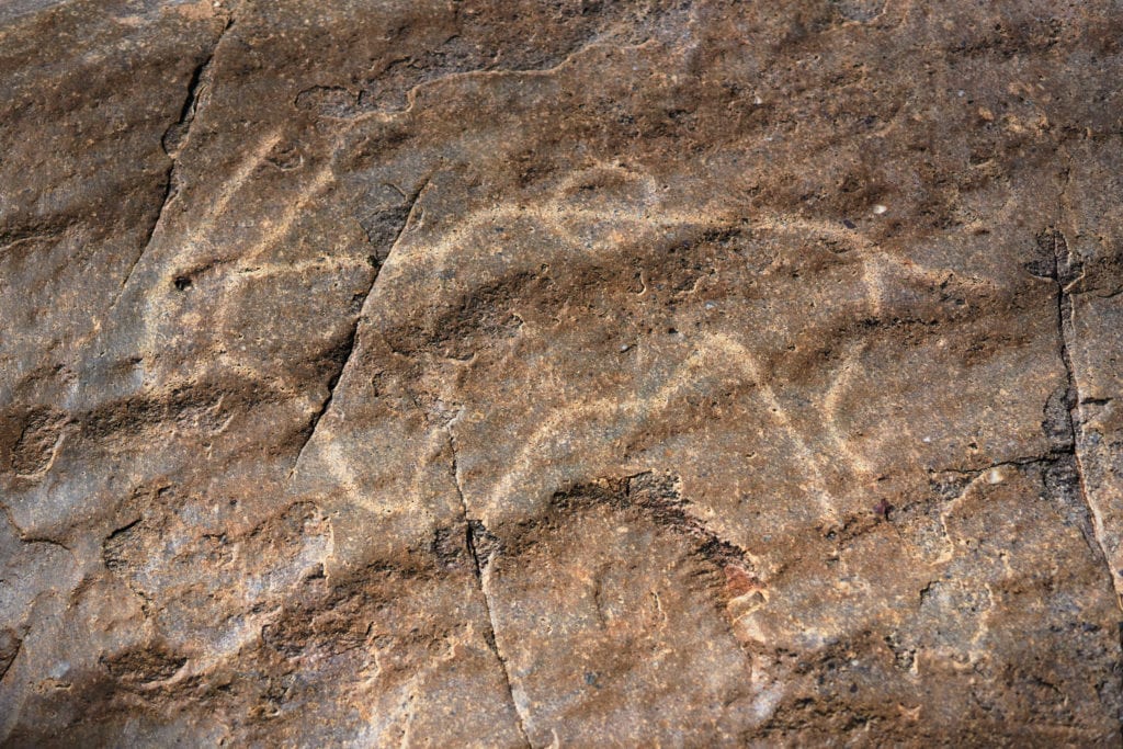 Conservation - rock engravings, cupoles and paintings of people, animals, birds and abstract shapes that document the culture and history of the San