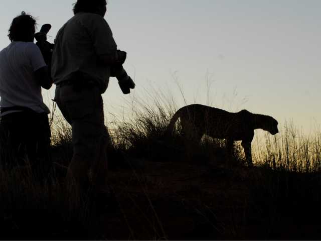 wildlife photography