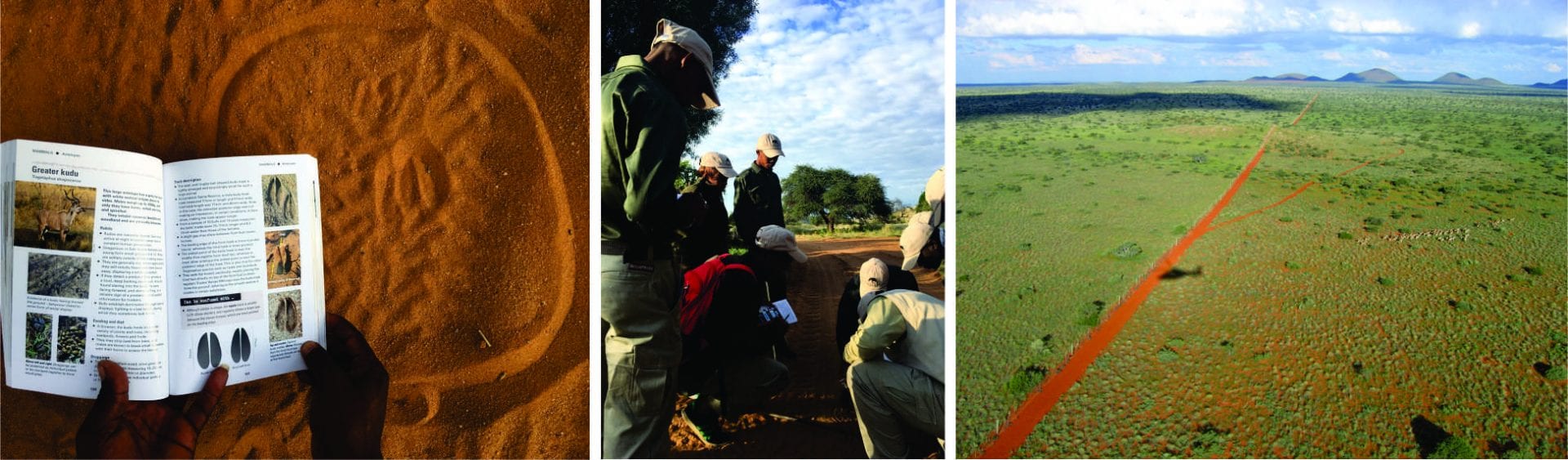 Conservation, Community, Tswalu Kalahari