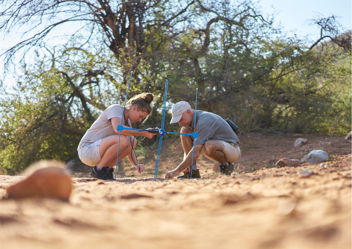 Conservation research at Tswalu