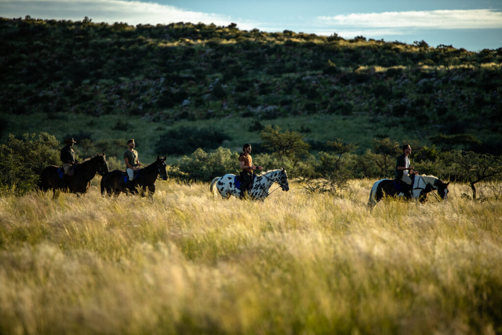 Horseback Experiences