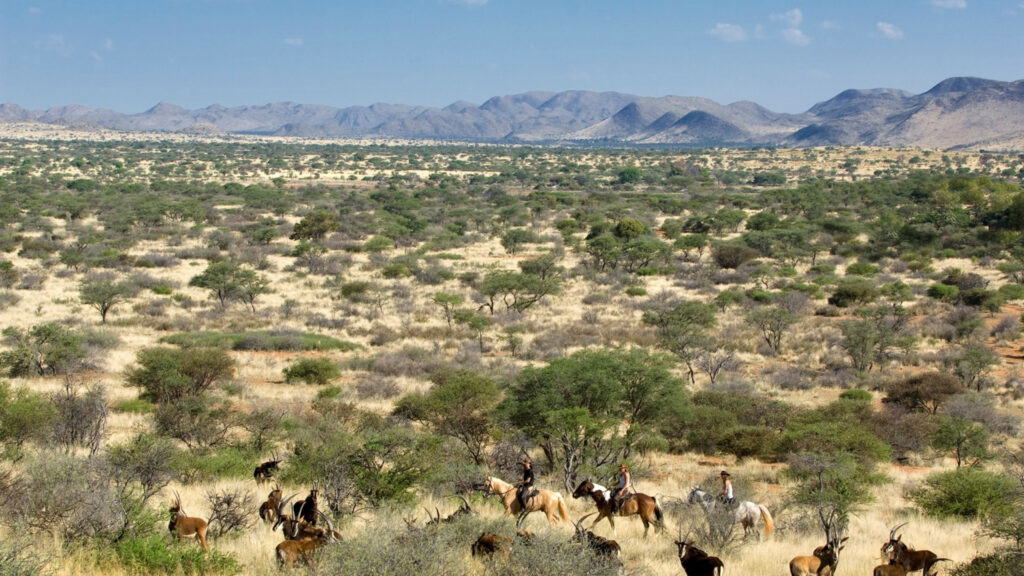 Horseback safari at Tswalu
