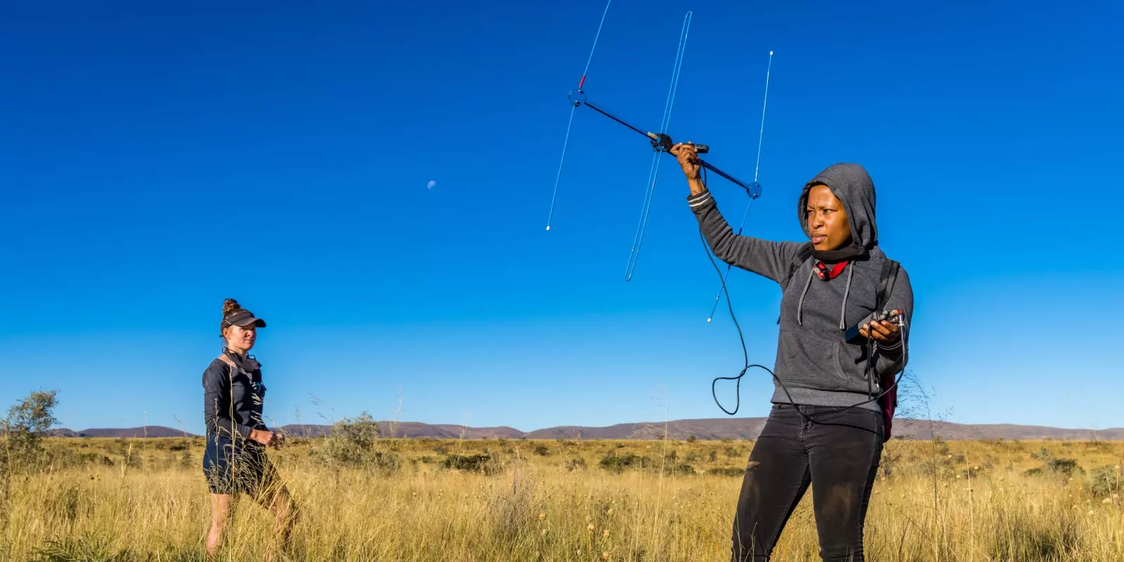 Valery Phakoago. pangolin research
