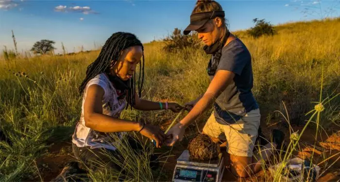 Conservation research from Tswalu Foundation