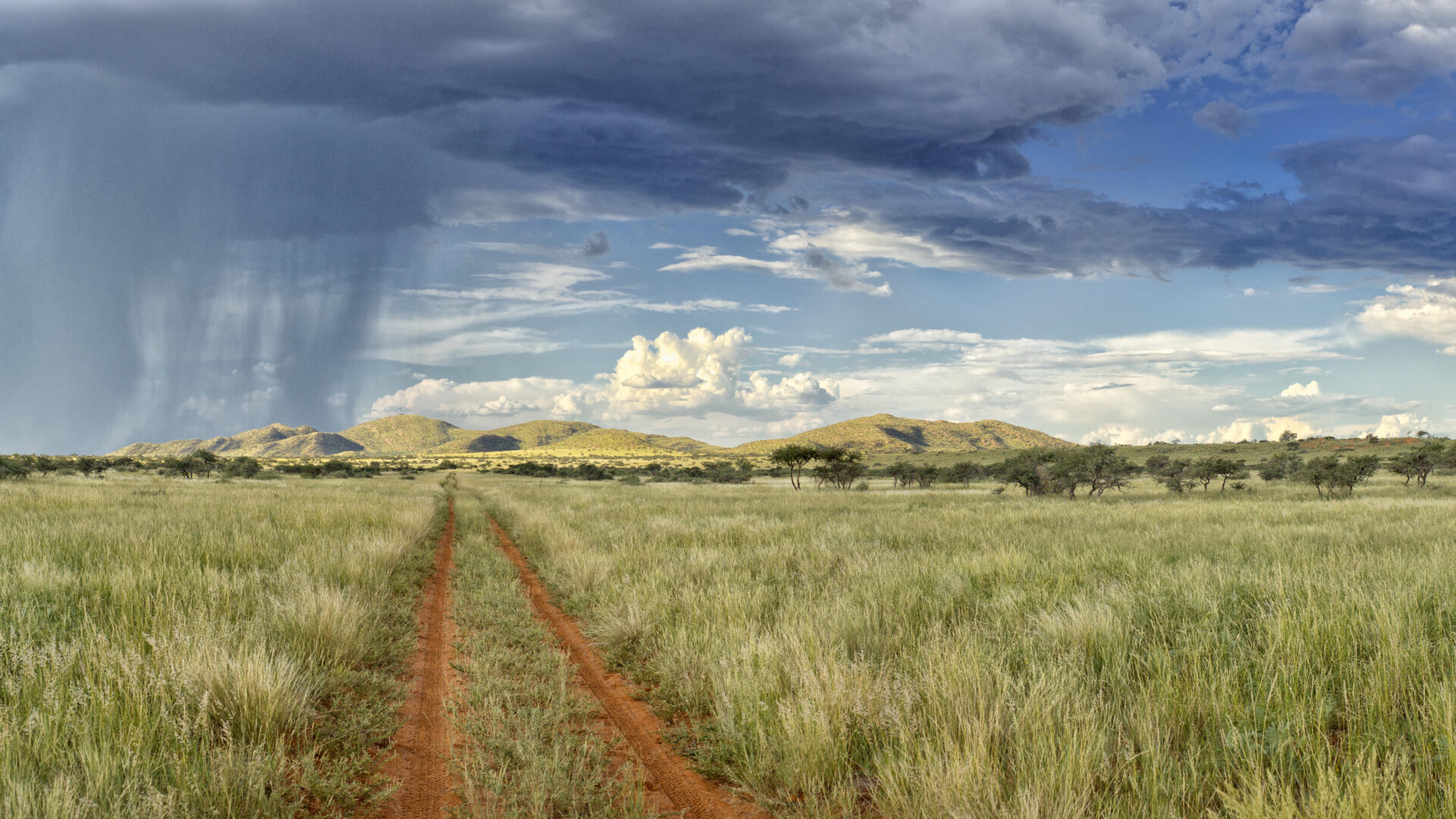 Green Kalahari