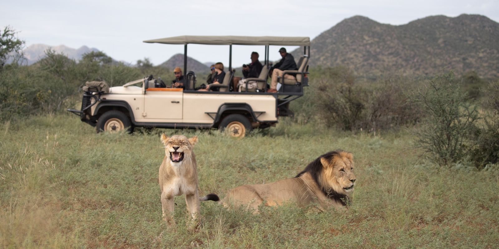 Private vehicle safari