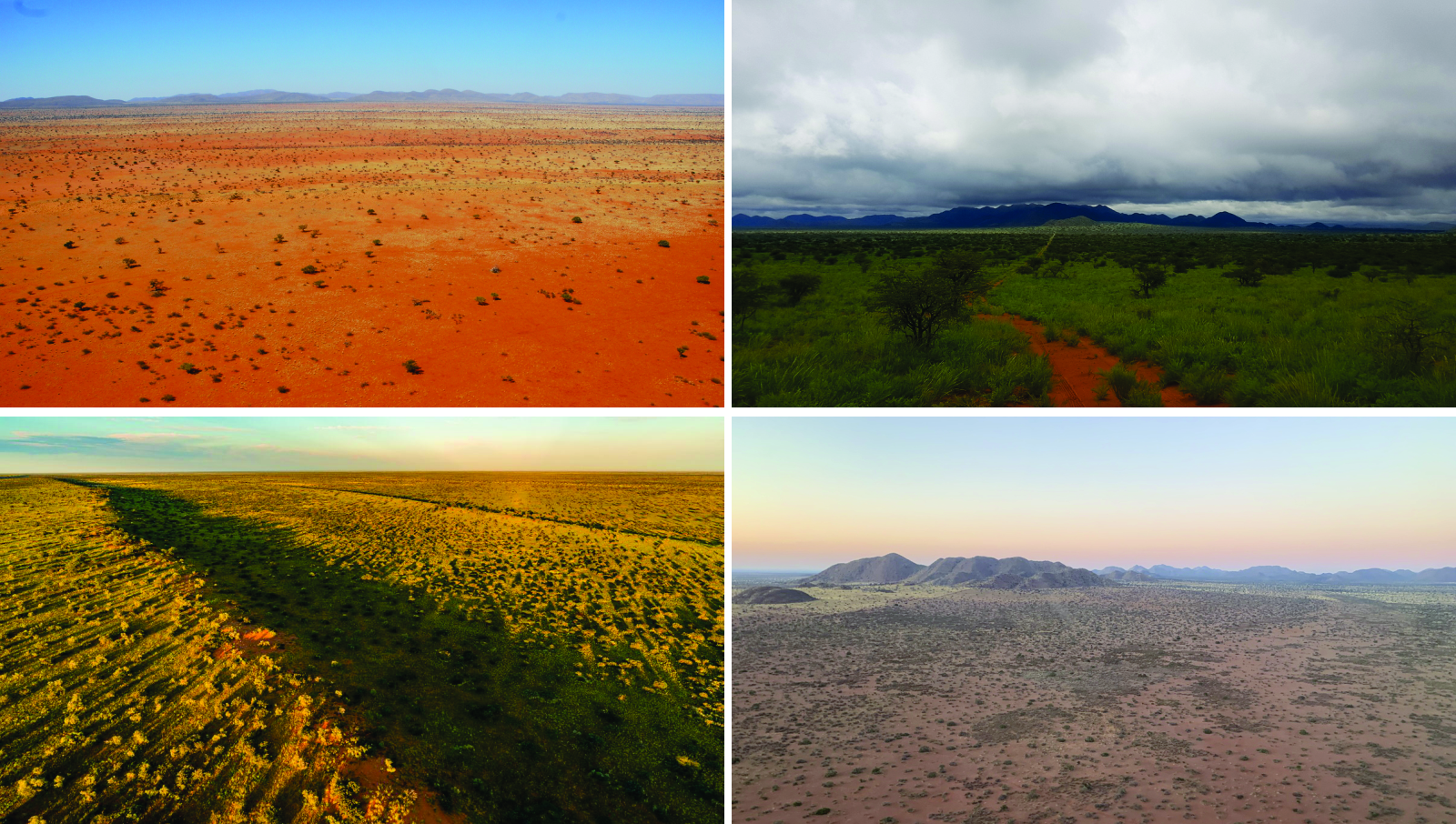 habitat rehabilitation