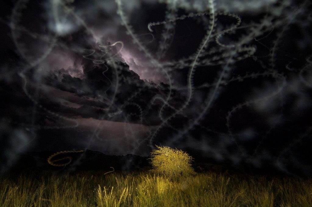 Swarming moths, Image by Thomas P Peschak, taken on assignment for National Geographic.