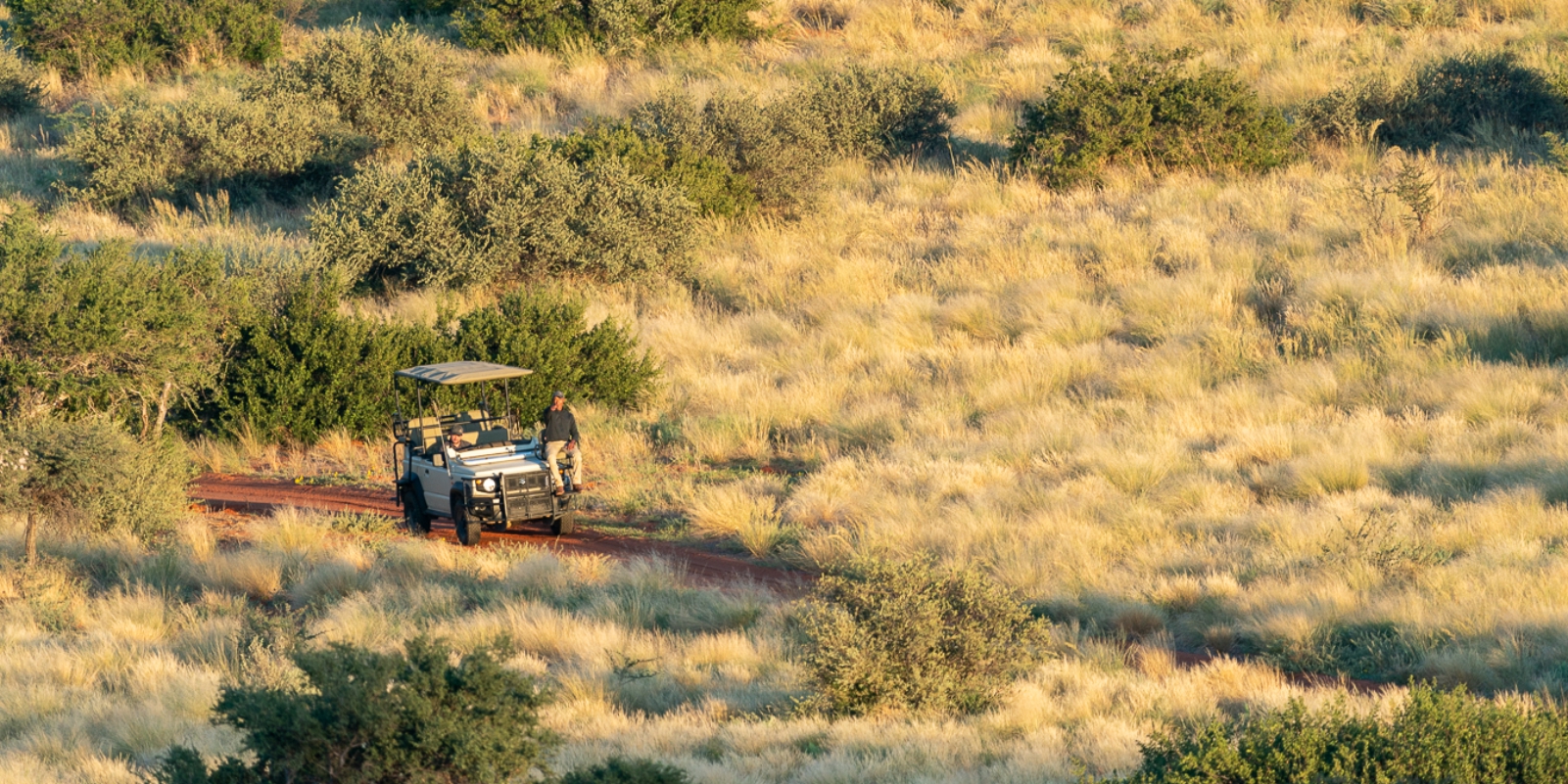 Game vehicle driving through the green kalahari