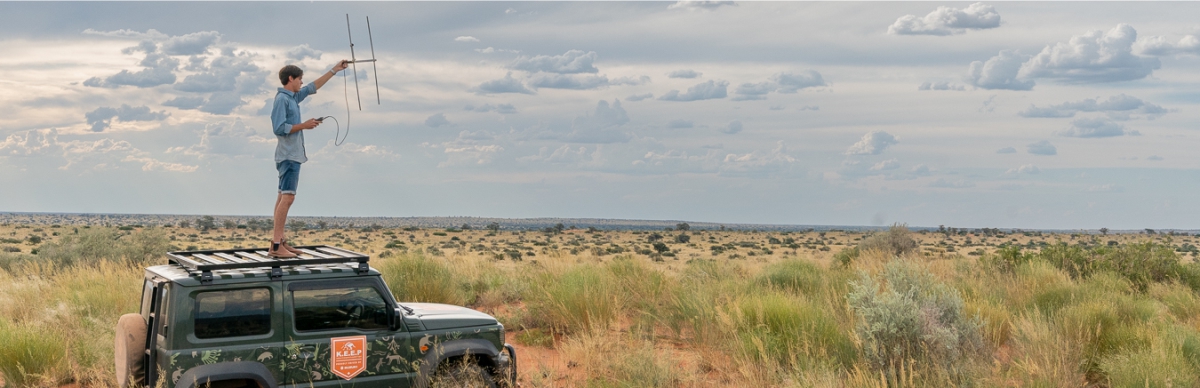 Daniel Roussouw tracking pangolin with telemetry equipmement