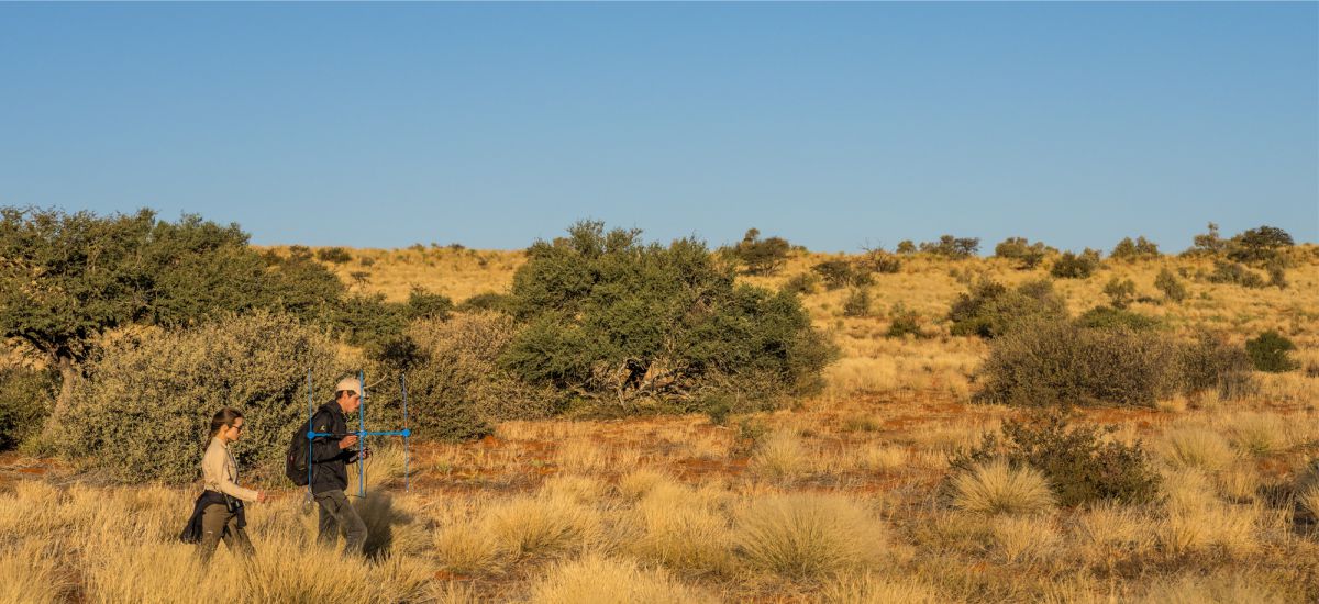 Daniel Roussouw with telemetry equipmement walking in the field