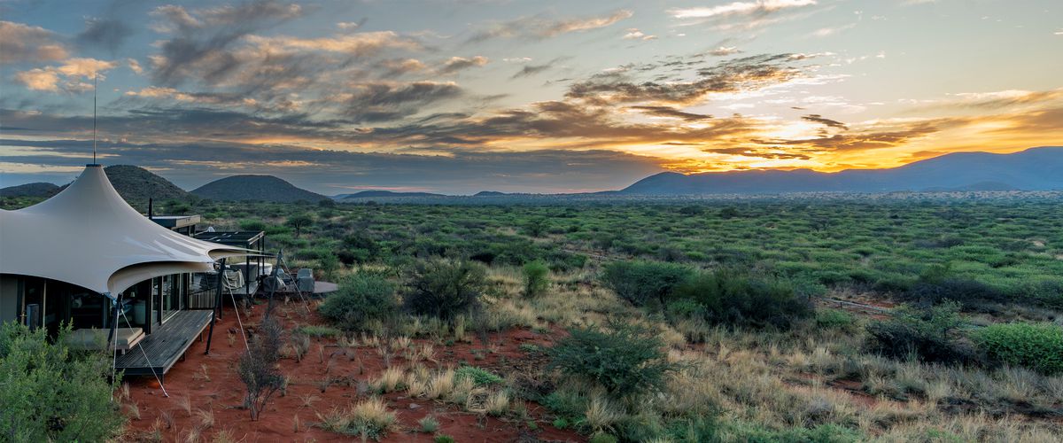 Loapi green kalahari