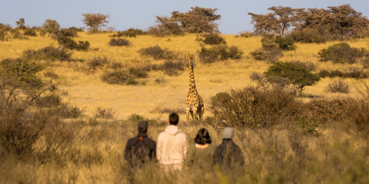 Walking safari