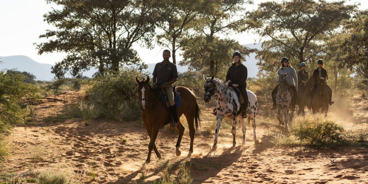 Horseriding experience