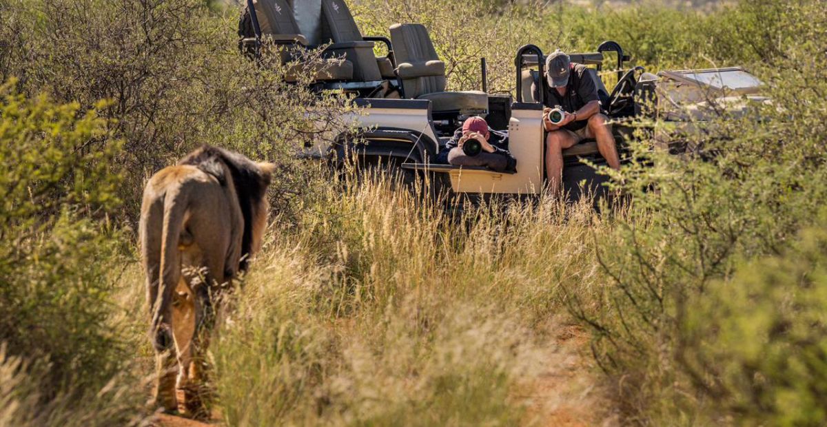 Photographic safari vehicle