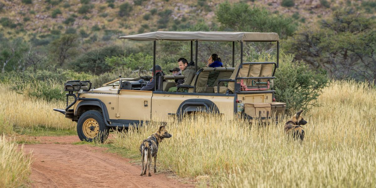 Privately guided safari
