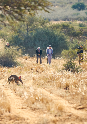 Exploring the reserve on foot